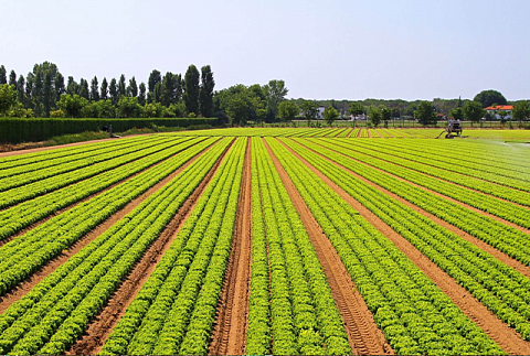 КФХ "Турчинович" - отгрузочная база